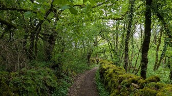 2025 05 04 J1- rodez salle la source - 04