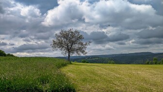 2025 05 06- J3- marcillac vallon- combret - 04