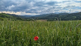 2025 05 07 - J4- combret-st cyprien - 03