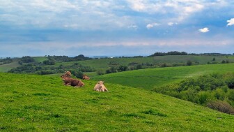 2025 05 08 - J5- st cyprien - conques - 03